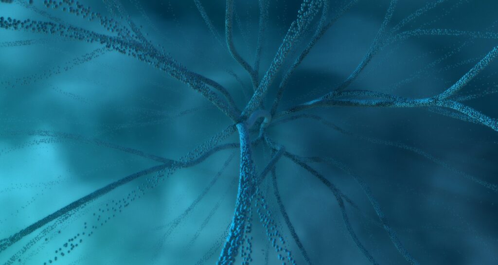 Understanding cognitive restructuring in PTSD